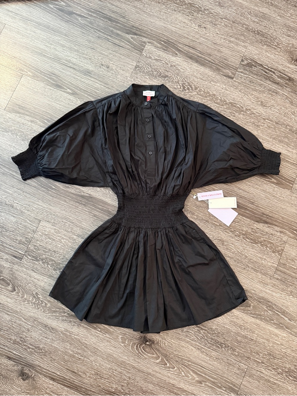 Never A Wallflower Cynthia Dress New